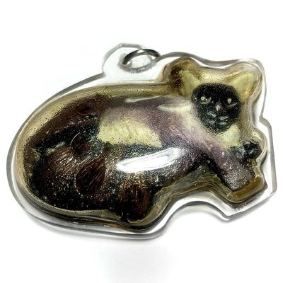 Noo Kin Nom Maew (Dtua Kroo) Mouse drinking from Cats Teat Necromantic Effigy in Prai OIl - 2 Takrut with Enchanted Coin &amp; Dice - Kroo Ba Porn
