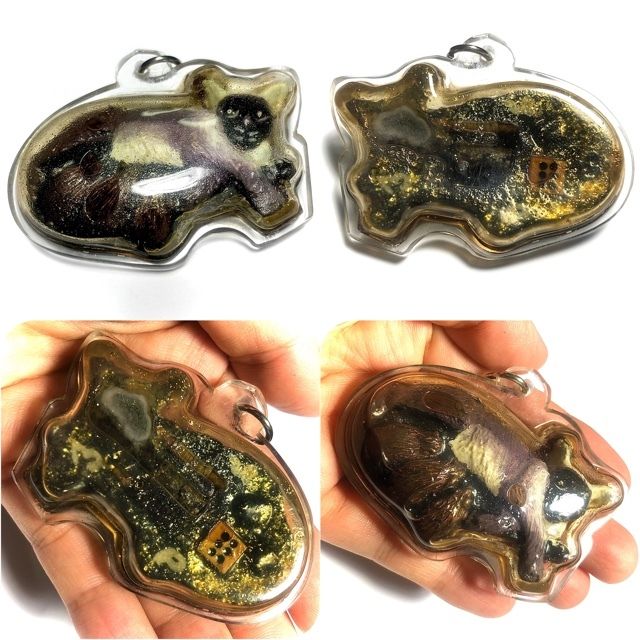Noo Kin Nom Maew (Dtua Kroo) Mouse drinking from Cats Teat Necromantic Effigy in Prai OIl - 2 Takrut with Enchanted Coin &amp; Dice - Kroo Ba Porn