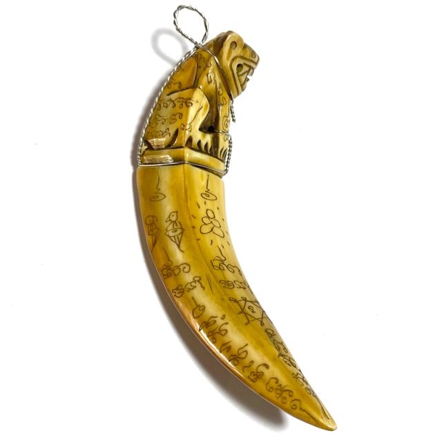 Khiaw Hmoo Dtan Gae Suea Wild Boar Tusk with Carved Tiger Amulet &amp; Khom Spell Inscriptions 4 Inches Luang Por Sawai