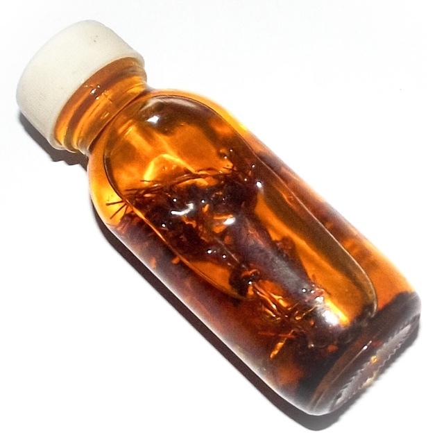 Nam Man Dork Tong Maha Sanaeh Maha Metta Khuad Kroo - Golden Flower Seduction Oil for Intense Attraction Only One Bottle Made - Asrom Por Taw Guwen