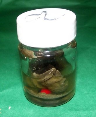 Pid Ta Nang Prai Khmer (Ladybird Spirit Ghost) - Special version 3 amulets in Prai Oil - Nuea Pong Prai Kumarn Kanong Rit Chae Nam Man Prai - Yokee Harit Ta Tip Rit Taewa - Asrom Visnu Montra