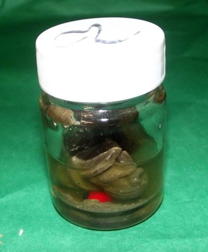 Pid Ta Nang Prai Khmer (Ladybird Spirit Ghost) - Special version 3 amulets in Prai Oil - Nuea Pong Prai Kumarn Kanong Rit Chae Nam Man Prai - Yokee Harit Ta Tip Rit Taewa - Asrom Visnu Montra