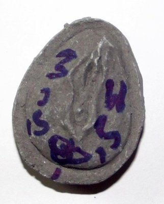 Yoni Mae Gamnerd Ongk Kroo - (Erotic Transformation of Kali) Vulva Magic Love Charm - Pong Prai 59 Dton + Pong Saneh Ya Faed 2 Takrut + Chin Aathan - Ajarn Akaradech