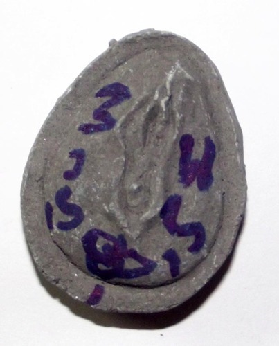 Yoni Mae Gamnerd Ongk Kroo - (Erotic Transformation of Kali) Vulva Magic Love Charm - Pong Prai 59 Dton + Pong Saneh Ya Faed 2 Takrut + Chin Aathan - Ajarn Akaradech