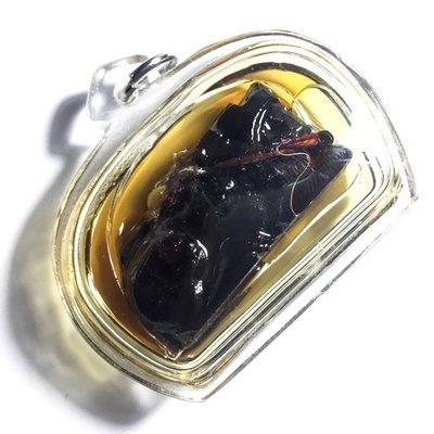 Suea Saming Norn Kin Tiger in Prai Oil + Takrut - Sacred Red Payung Wood - Ta Poon Forest Lay Sorceror