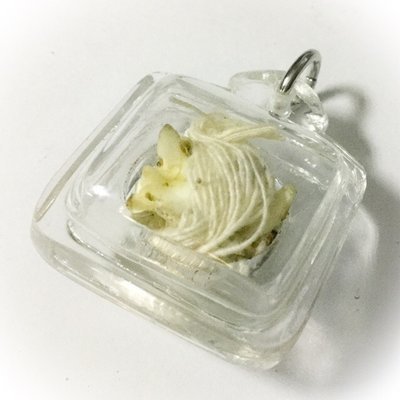 Paya Naka Norn Kin - Python Bone + Takrut Na Jang Ngang + Sinjana Cord Binding Spell for Calling Customers Good Business and Easy Living - Ta Poon (Forest Lay Sorceror)
