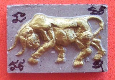 Wua Tanu Sayop Aathan ( Sacred Bull to protect against Black Magic spells) - Ajarn Somrach Chiang Mai
