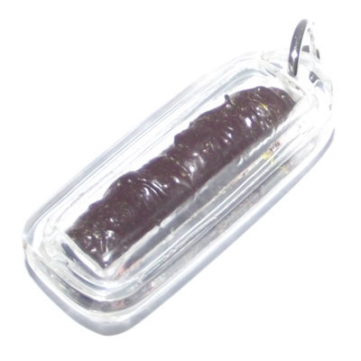 Takrut Jing Jok Prohm Tong Jinda Sanaeh (Golden Brahma Gecko Charm spell for Love and Successful Business) - Luang Phu Jinda - Wat Pha Mor Free Casing included