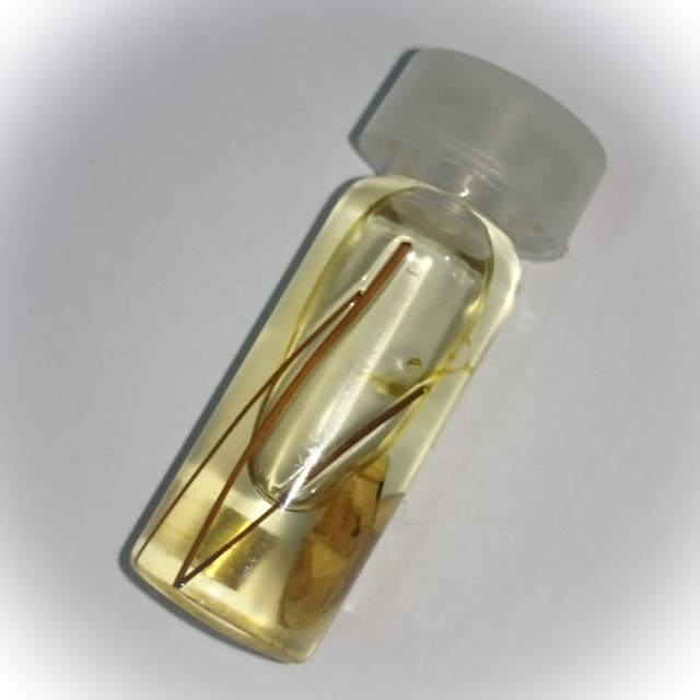Sariga Jik Sap - Treasure Pecking Celestial Magpie Potion with Takrut Sariga + Kruea Thao Hlong Enchantment Vine - Ajarn Sanao