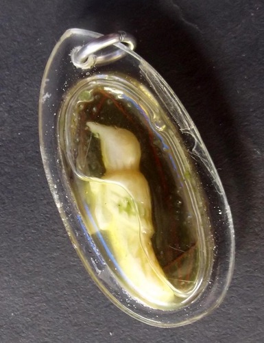 Nok Sariga Koo - Nuea Nga Gae Liam Nam Man Sariga Pasom Wan -  Himapant Golden Tongue Celestial Magpie - Hand Carved in Sariga Charm Oil - Ajarn Suntorn Phueak Tiang