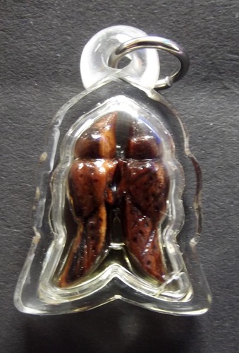 Nok Sariga Koo - Nuea Mai Payung Daeng Gae Liam Nam Man Sariga -  Himapant Golden Tongue Celestial Magpie - Hand Carved Magical Wood in Sariga Charm Oil - Ajarn Suntorn Phueak Tiang