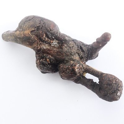 Palad Khik Mai Ga Fak Rak Koon - 14 x 5 Cm - Sacred Tree Phallic with Khom Spell Inscription Hand Inscribed by Luang Por Prohm Wat Ban Suan