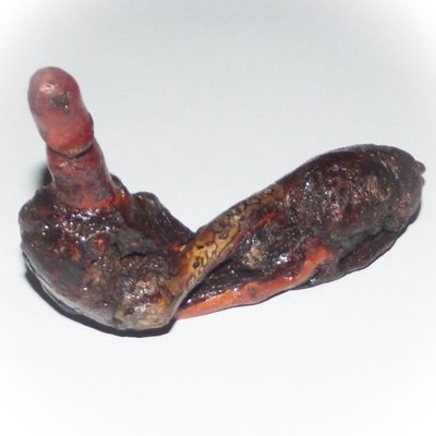 Palad Khik Mai Ga Fak Rak-Yom Jarn Mer - Sacred Tree Branch Phallics with Khom Spell Inscription Hand Inscribed by Luang Por Prohm Wat Ban Suan