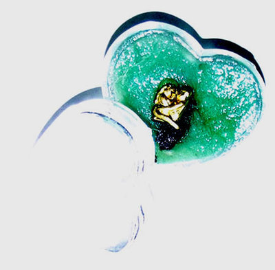 See Pheung In Dood Jidt Maha Sanaeh - Enchantment Potion With In Koo &amp; Black Necromantic Powders - Pra Ajarn Somchart