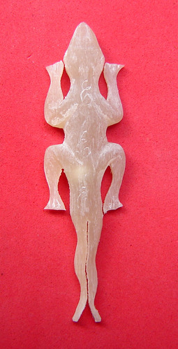 Jing Jok Sorng Hang Nam Choke (albino buffalo horn) - 2 tailed Gecko charm  for riches and luck - LP Rit