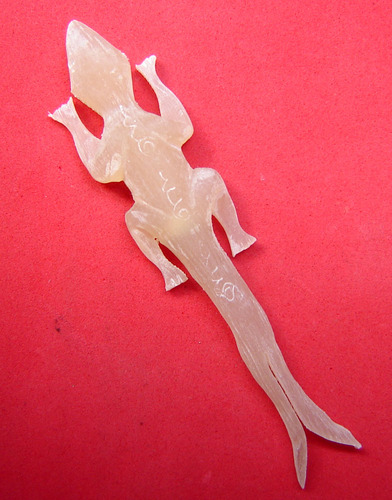 Jing Jok Sorng Hang Nam Choke (albino buffalo horn) - 2 tailed Gecko charm  for riches and luck - LP Rit