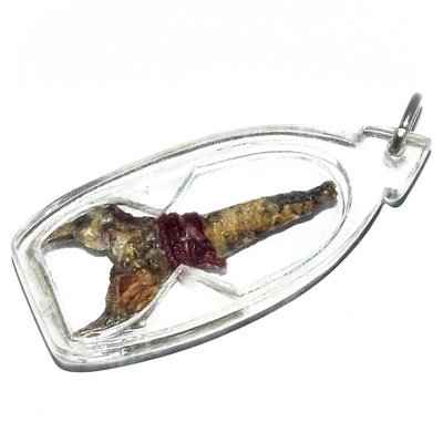 Dueay Ngu Hlueam Metta Maha Pokasap (Python Spur) - Mercy Charm &amp; Treasure Guardian - Luang Por Prohm Wat Ban Suan