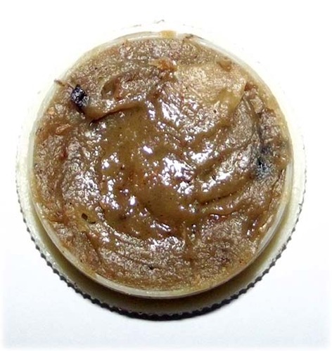 See Pheung Wua Pan Hlak - Special Wai Kroo 2556 BE edition concentrated Prai Oil Potion - Ajarn Waes (Ruesi Waet)