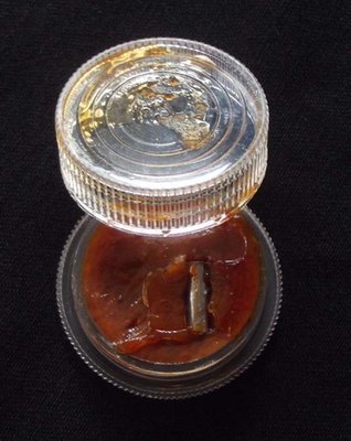 See Pheung Sariga Long Rang &#39;Run Sorng&#39; (2nd edition) - Celestial Magpie Metta Balm with Takrut for Good Oratory Skills, Business and Social Success - Luang Phu Ta Analayo - Wat Pha Dong Kam Chee
