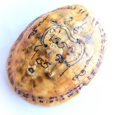 Tao Ruean Maha Pokasap Jarn Mer Temple Turtle Shell with Handmade Magic Spell Inscriptions - Luang Por Prohm Wat Ban Suan