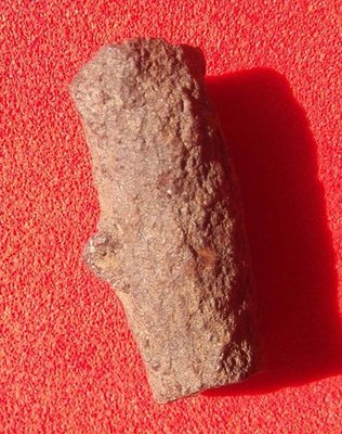 Mai Takian Pan Pi Extremely rare and Magically powerful 1000 year old Takian Deva Kaya Siddhi Wood Elemental