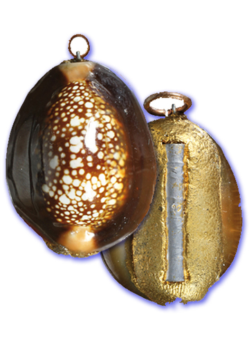 Bia Gae Jon Cowrie Shell Mercury and Putsa Paste Filled Takrut Pokasap - Dhamma Hall Building Edition 2555 BE - Phu Ya Tan Khien