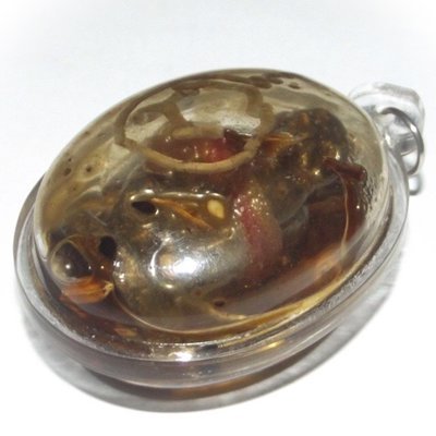 Kumarn Tong in Nam Man Prai Oil with Hand Inscription - Luang Phu Khai Wat Lam Nao