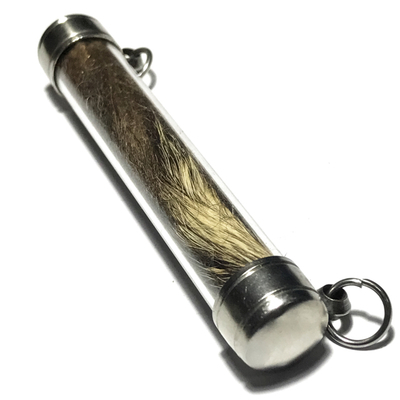 Hnang Suea Maha Amnaj 3 Inches Scroll Tiger Takrut Spell - Luang Por Phern Titdakuno - Wat Bang Pra