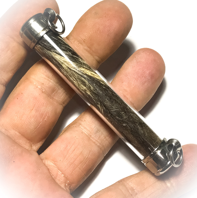 Hnang Suea Maha Amnaj 3 Inches Scroll Tiger Takrut Spell - Luang Por Phern Titdakuno - Wat Bang Pra