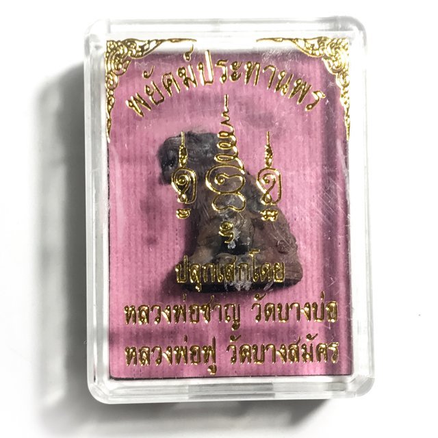 Suea Payak Akom Nuea Sadta Loha Phiw Rung 2559 BE Blessed by Luang Por Foo Wat Bang Samak + Luang Por Chan Wat Bang Bor