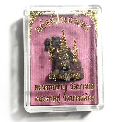 Suea Payak Akom Nuea Sadta Loha Phiw Rung 2559 BE Blessed by Luang Por Foo Wat Bang Samak + Luang Por Chan Wat Bang Bor