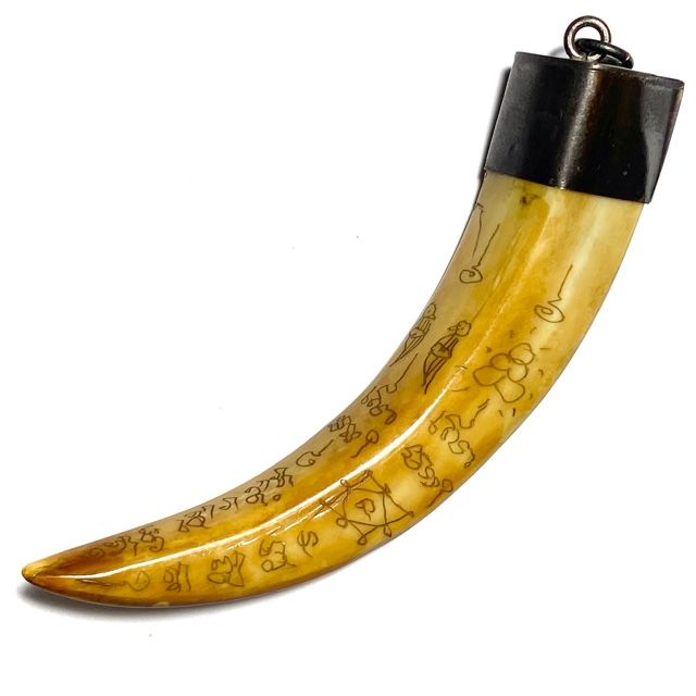 Khiaw Hmoo Dtan Wild Boar Tusk 4 Inches Hand Inscribed Yant Suea Sariga Ongk Pra Khom Spell Inscriptions Luang Por Sawai
