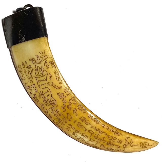 Khiaw Hmoo Dtan Wild Boar Tusk 4 Inches Hand Inscribed Yant Suea Sariga Ongk Pra Khom Spell Inscriptions Luang Por Sawai