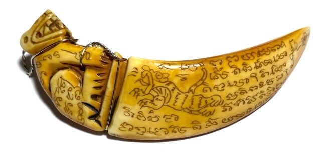 Khiaw Hmoo Dtan Gae Suea Wild Boar Tusk with Carved Tiger