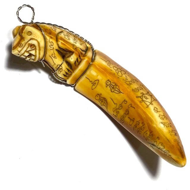 Khiaw Hmoo Dtan Gae Suea Wild Boar Tusk with Carved Tiger Amulet
