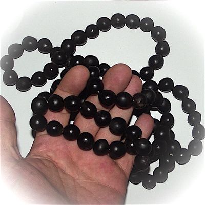 108 Bead Prakam Dee Kwai Sacred Forest Berry Prayer Rosary - Luang Por Prohm Wat Ban Suan - Stupa Spire Building Edition 2548 BE