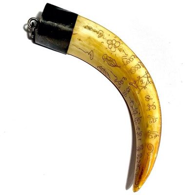 Khiaw Hmoo Dtan Wild Boar Tusk 4 Inches Hand Inscribed Yant Suea Sariga Ongk Pra Khom Spell Inscriptions Luang Por Sawai