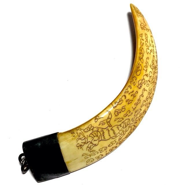 Khiaw Hmoo Dtan Wild Boar Tusk 4 Inches Hand Inscribed Yant Suea Sariga Ongk Pra Khom Spell Inscriptions Luang Por Sawai