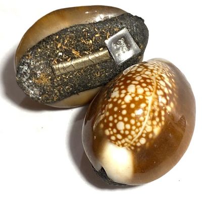 Bia Gae Jon Ruai Lon Fa Ud Pong Maha Phoodt Lin Tong Takrut Ngern Luang Por Dam Wat Santitham Bia Gae Jon Ruai Lon Fa Ud Pong Maha Phoodt Lin Tong Takrut Ngern Luang Por Dam Wat Santitham