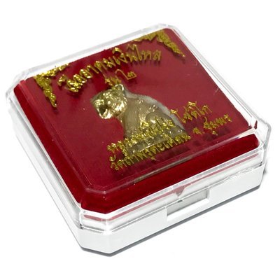 Suea Akom Ngern Hlai Run Sorng Nuea Tong Tip Tiger of Wealth Only 999 Made - Luang Por Bproeng Wat Tham Pru Takian