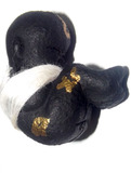 Look Krok (Stillborn Embryo)