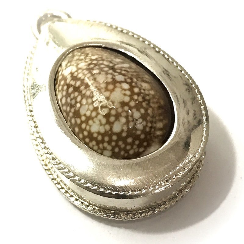 Bia Gae Jon Cowrie Shell Amulet for Wealth, Protection and Healing in Solid Silver Frame - Luang Phu Juea Wat Klang Bang Gaew