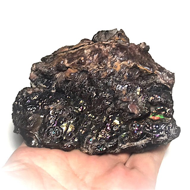 Lek Lai Jet See Chin Yai Extra Big Size for Bucha Rare Rainbow Kaya Siddhi Sacred Cave Substance