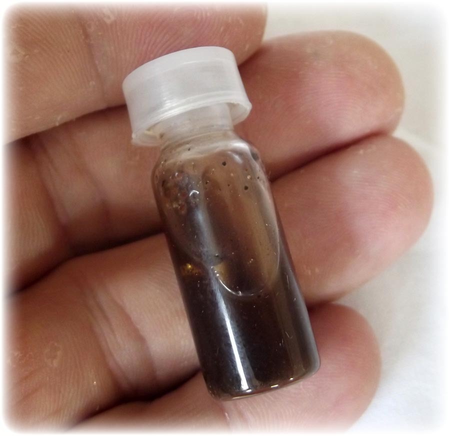 Nam Man Paya Jing Jok Maha Sanaeh Maha Choke Rap Sap - Sacred Gecko Prai Oil Potion with 100 Year old Sacred Powders - White Eel Wicha - Luang Ta Lek Janta Chodto
