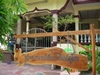 Wat Huay Ngo