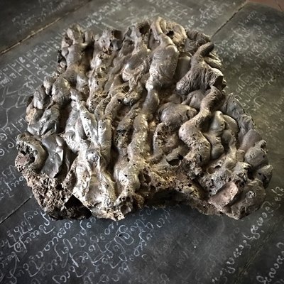 Extremely Rare Giant Size Holy Cave Lek Lai Kaya Siddhi Substance 16 x 16 x 7 Cm Cold Cut with Magical Incantations &amp; Ceremony
