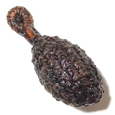 Hmak Tui Sacred Betel Areca Nut for Prosperity and Protection Luang Phu Kambu - Wat Gut Chompoo