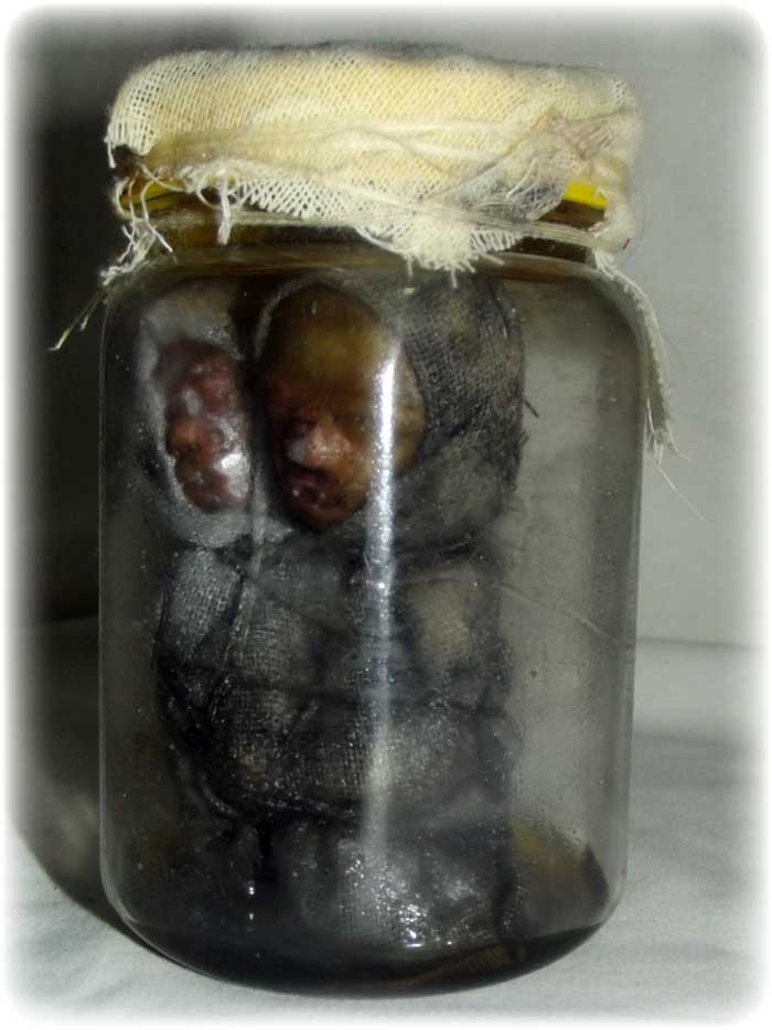 Look Krok Sorng Hua Chae Nam Man Prai - Two Headed Kumarn in Prai Oil and Powder Concentrate - Luang Phu Naen Dam