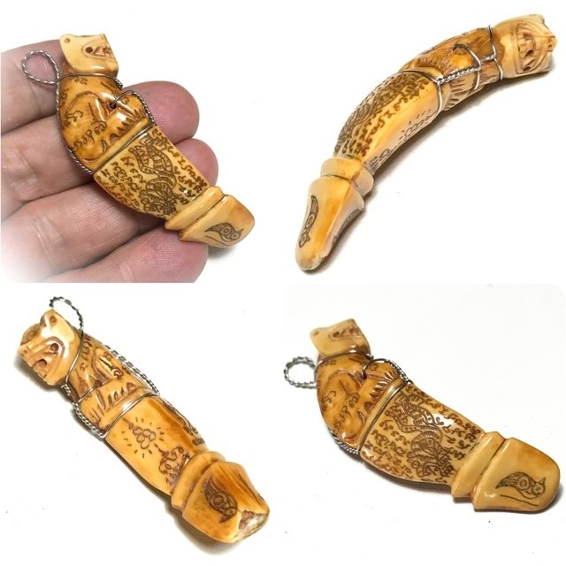 Khiaw Hmoo Dtan Suea Palad Carved Boars Tusk Tiger Amulet