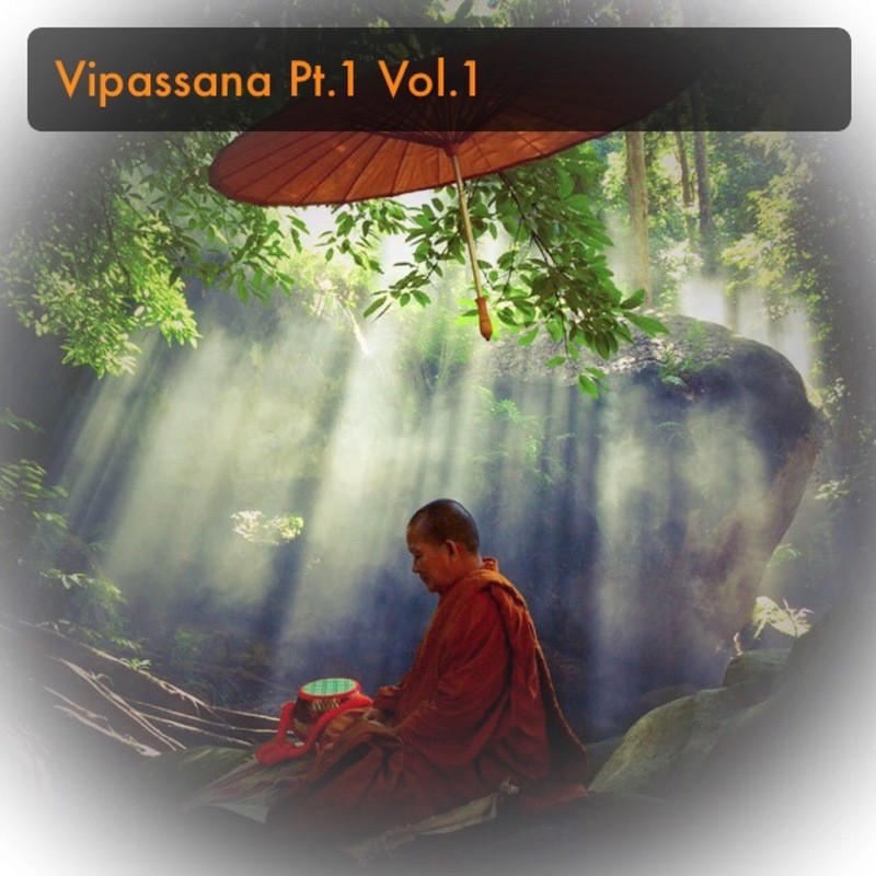 How to Practice Vipassana Vol. 1 Part 1 - Manifest Practice through Understanding the Practice - Ajarn Spencer Littlewood